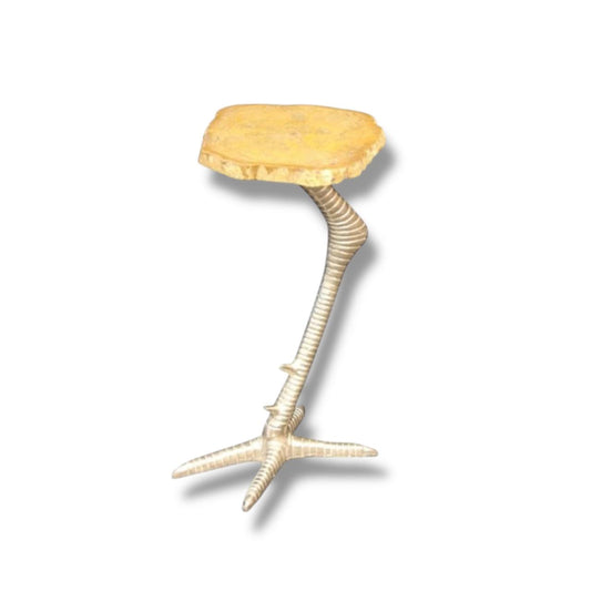 Silver Ostrich Leg Petrified Wood Slice Side Table