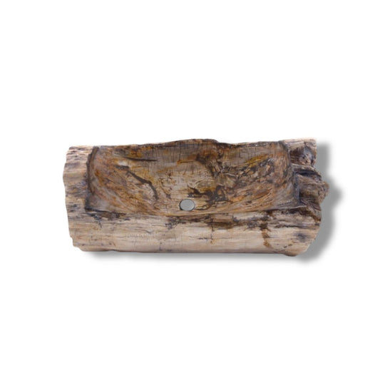 Petrified Wood Basin